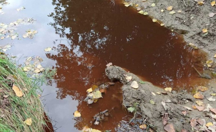 Ecologistes alerten d'un vessament de purins a Manlleu i exigeixen menys escorxadors