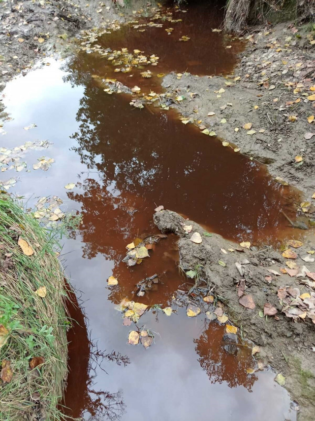 Ecologistes alerten d'un vessament de purins a Manlleu i exigeixen menys escorxadors