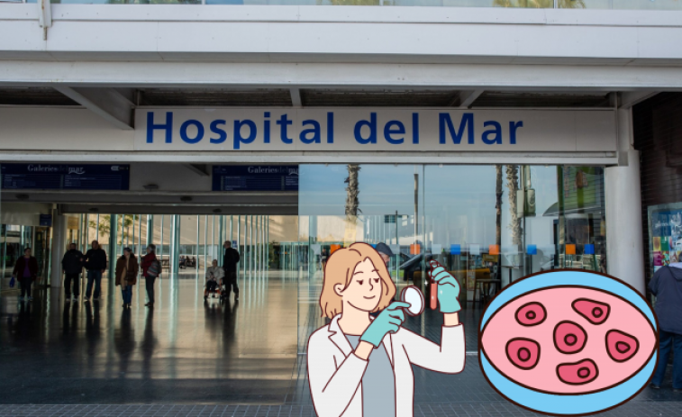 L'Hospital del Mar de Barcelona coordinarà una iniciativa europea de desenvolupament de cèl·lules mare