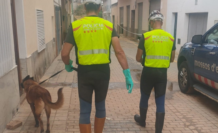 Tres gossos dels Mossos d'Esquadra s'uneixen a l'equip de cerca de desapareguts a València