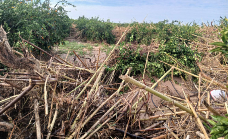 El monumental enuig dels agricultors valencians: 