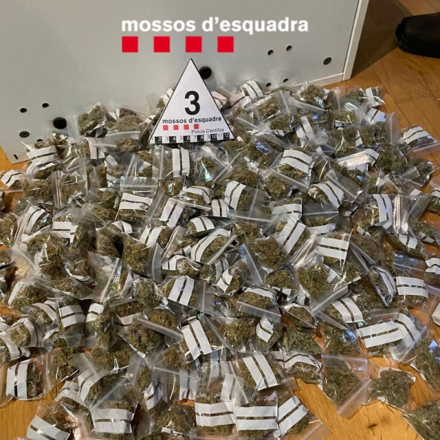 EuropaPress 6342790 bolsas marihuana localizadas registros efectuados mossos desquadra bisbal