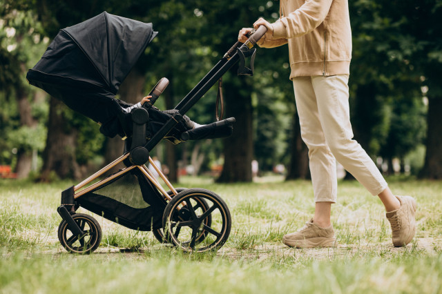 Youngmotherwalkingwithbabycarriagepark