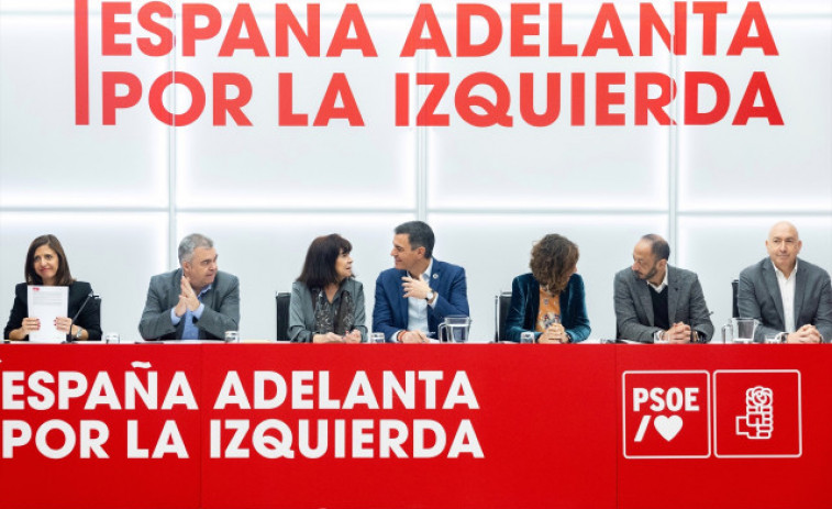 El PSOE demanda per 