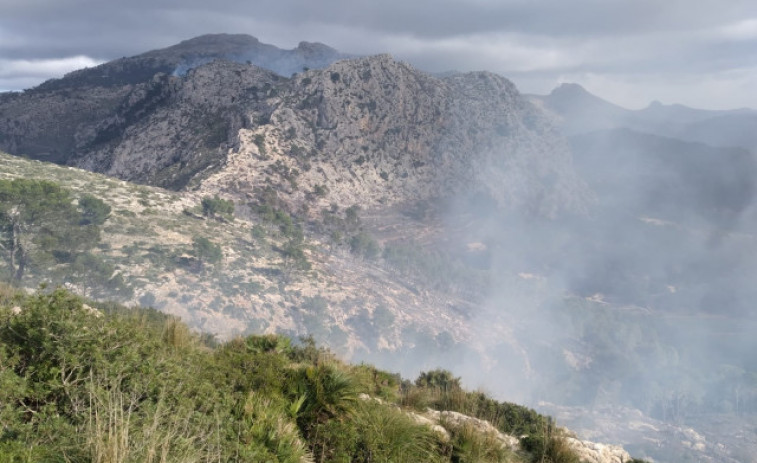 L'incendi forestal d'Andratx crema unes 50 hectàrees