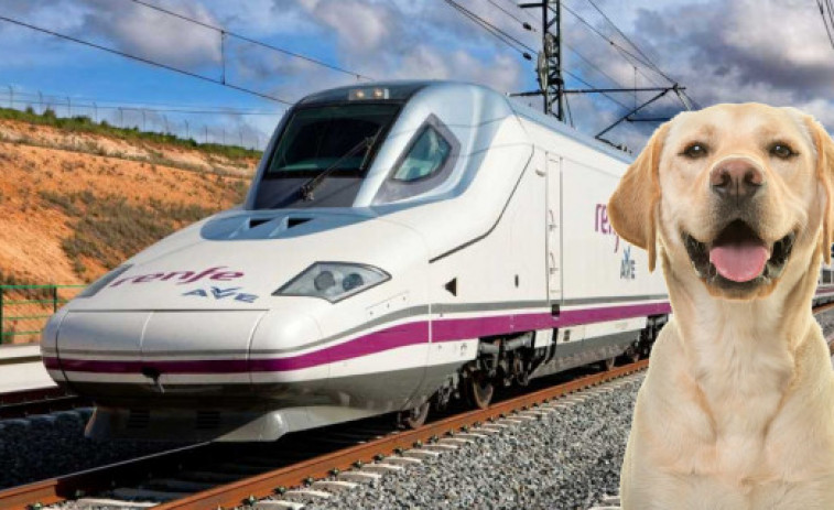 Renfe baixarà fins a 7 euros el preu d'alguns bitllets a partir del 20 de gener per les rebaixes