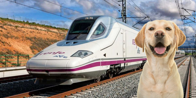 Renfe 10