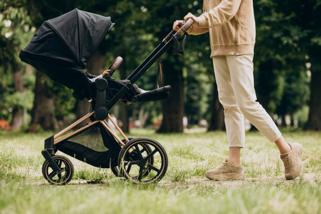 Youngmotherwalkingwithbabycarriagepark 1