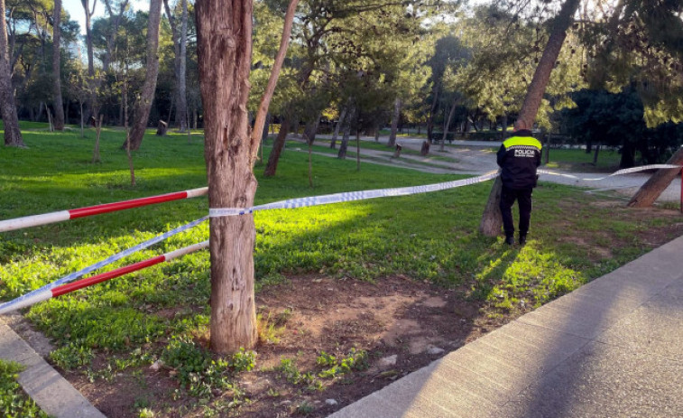 El vent arrasa Figueres! Vidres trencats i un cotxe destrossat per un arbre