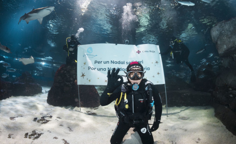 El xef Jordi Cruz se submergeix entre taurons al Bany Solidari de l'Aquarium de Barcelona