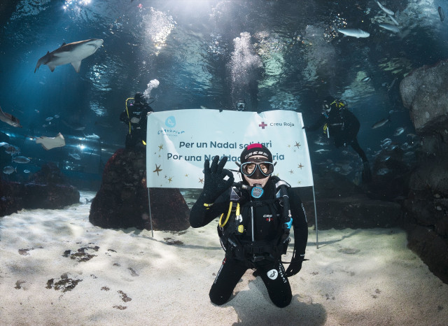 EuropaPress 6427757 chef jordi cruz sumerge tiburones bano solidario aquarium barcelona