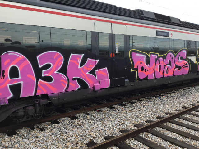 En llibertat un jove grafiter que va aturar un tren en marxa per pintar-lo, deixant-lo deu minuts aturat