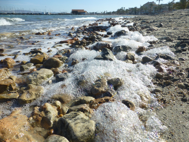 EuropaPress 4407881 ieo alerta riesgo nuevo episodio anoxia mar menor estado eutrofizacion1 1