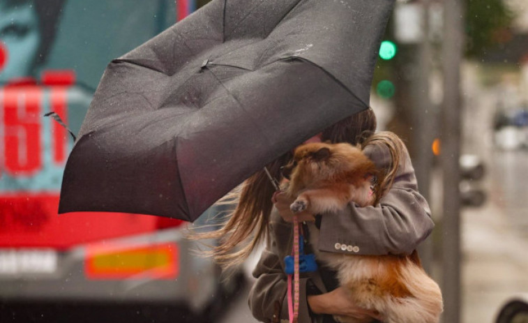 Previsió del temps a Catalunya: 16 de gener, segueix el fred intens... i torna la pluja