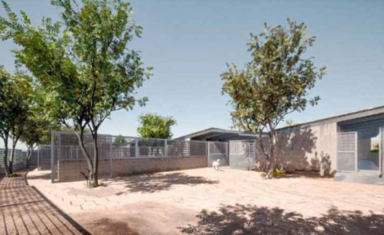 Mataró comença a construir el nou centre d'acolliment d'animals domèstics