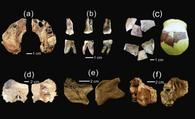 Descobreixen una nova espècie humana amb un cervell més gran que el de Homo sapiens