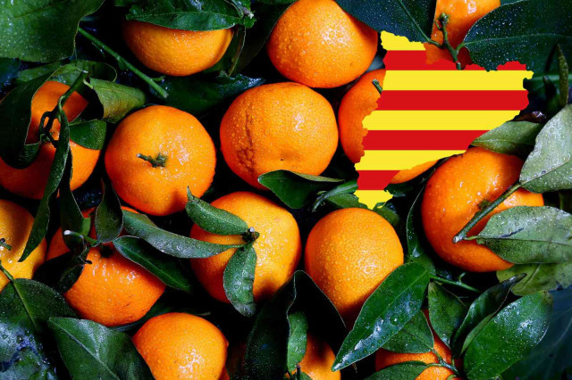 Les millors fruites de temporada per menjar al febrer a Catalunya