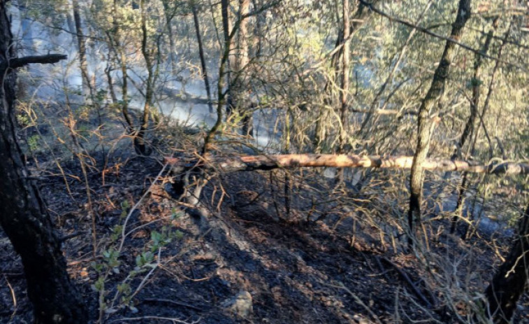 Els Bombers aconsegueixen extingir un incendi de vegetació a Osona