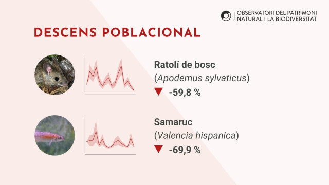 EuropaPress 6499497 ejemplos descenso poblacional indice