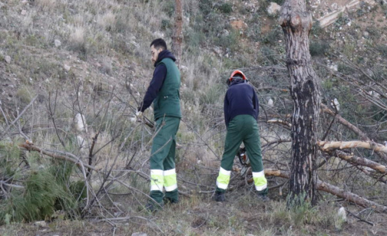 Prevenció d'incendis forestals: Santa Coloma de Gramenet comença la neteja dels boscos