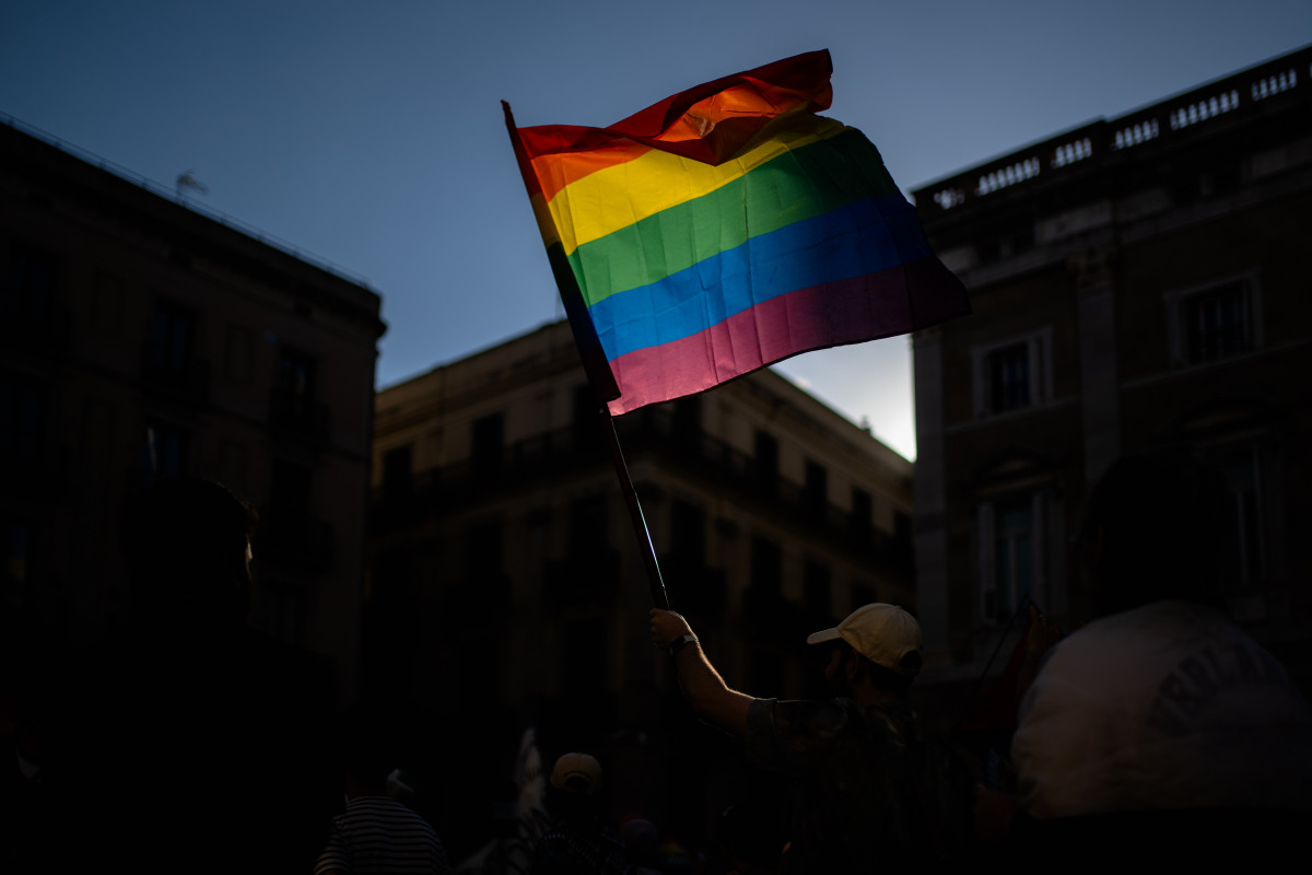 EuropaPress 6063027 bandera lgtbi manifestacion dia orgullo favor palestina plaza universitat (1)