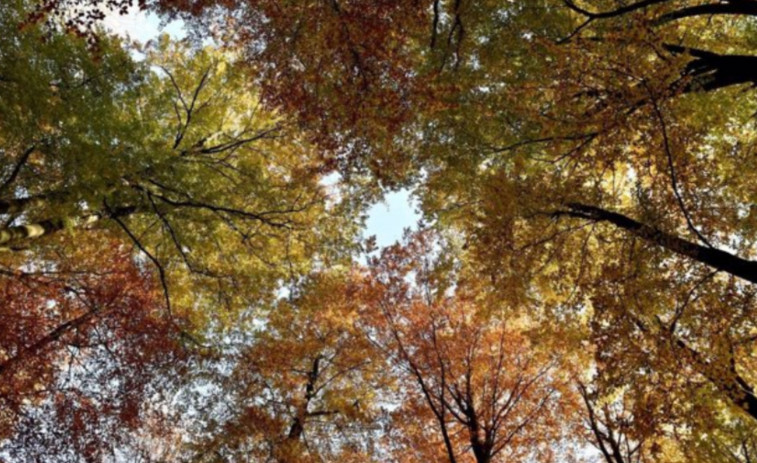 Temps a Catalunya: l'últim dilluns de febrer serà una jornada tranquil·la