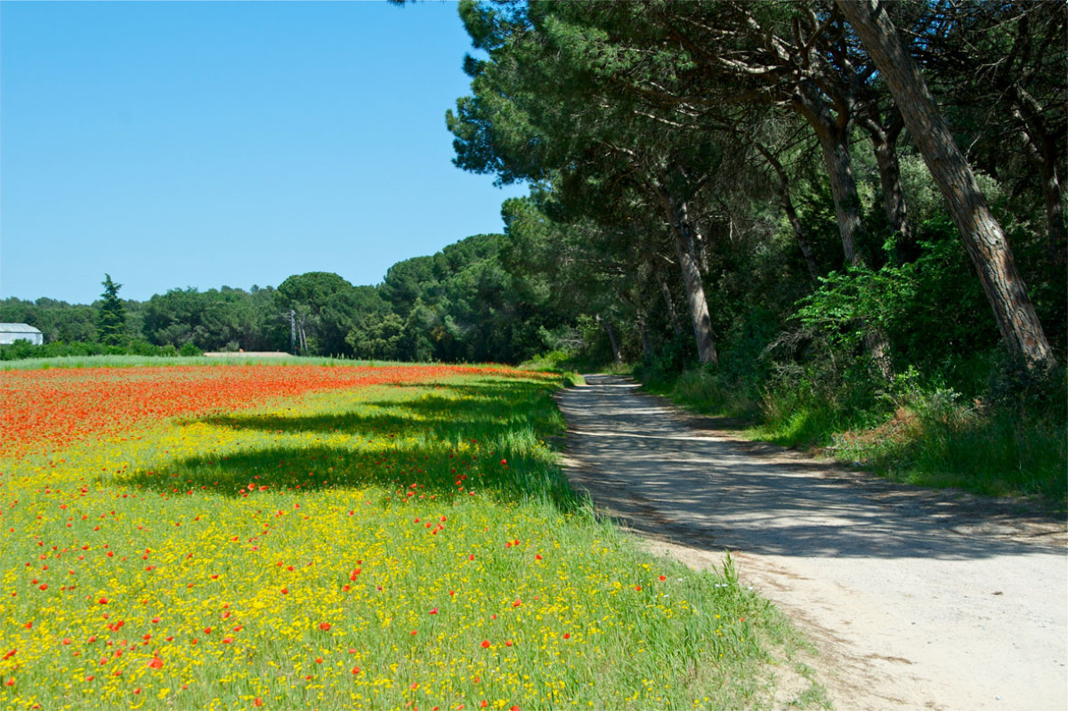 Catalunyapress reconeixementvalles