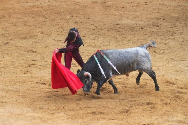 Torero 1