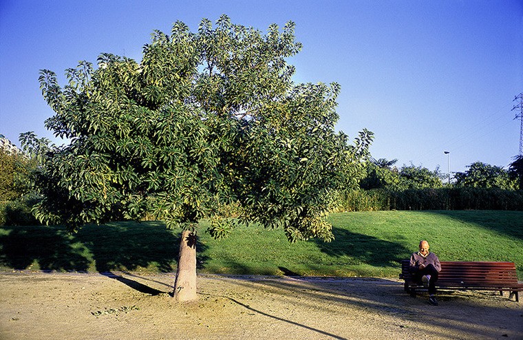 Parc de Bellvitge