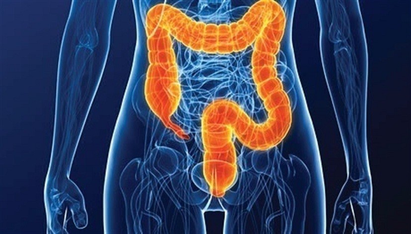 Cu00e1ncer colorectal 21.032.018