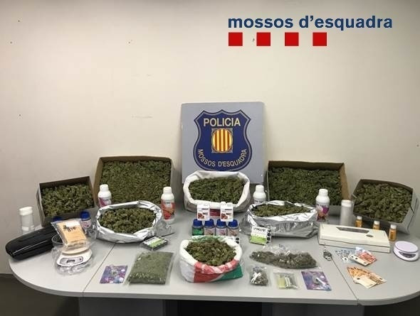 Marihuana confiscada per Mossos d'Esquadra