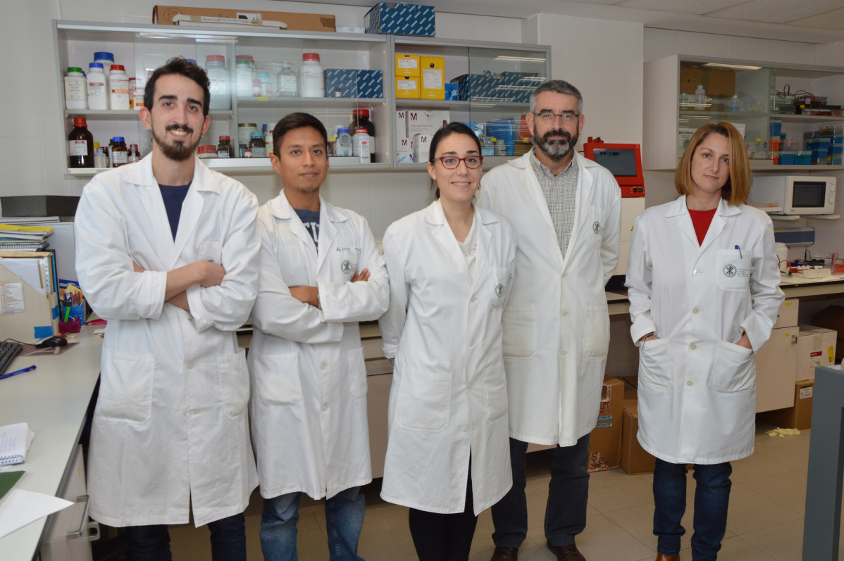 Investigadors de la Fundació Universitat Catòlica de València Sant Vicenç Màrtir