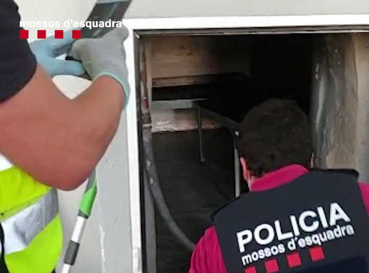 Segrest mossos gener