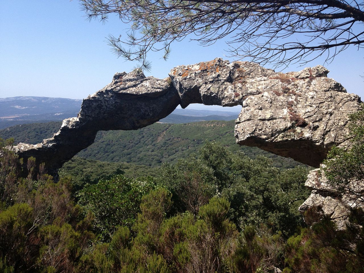 Parc natural dels Alcornocales