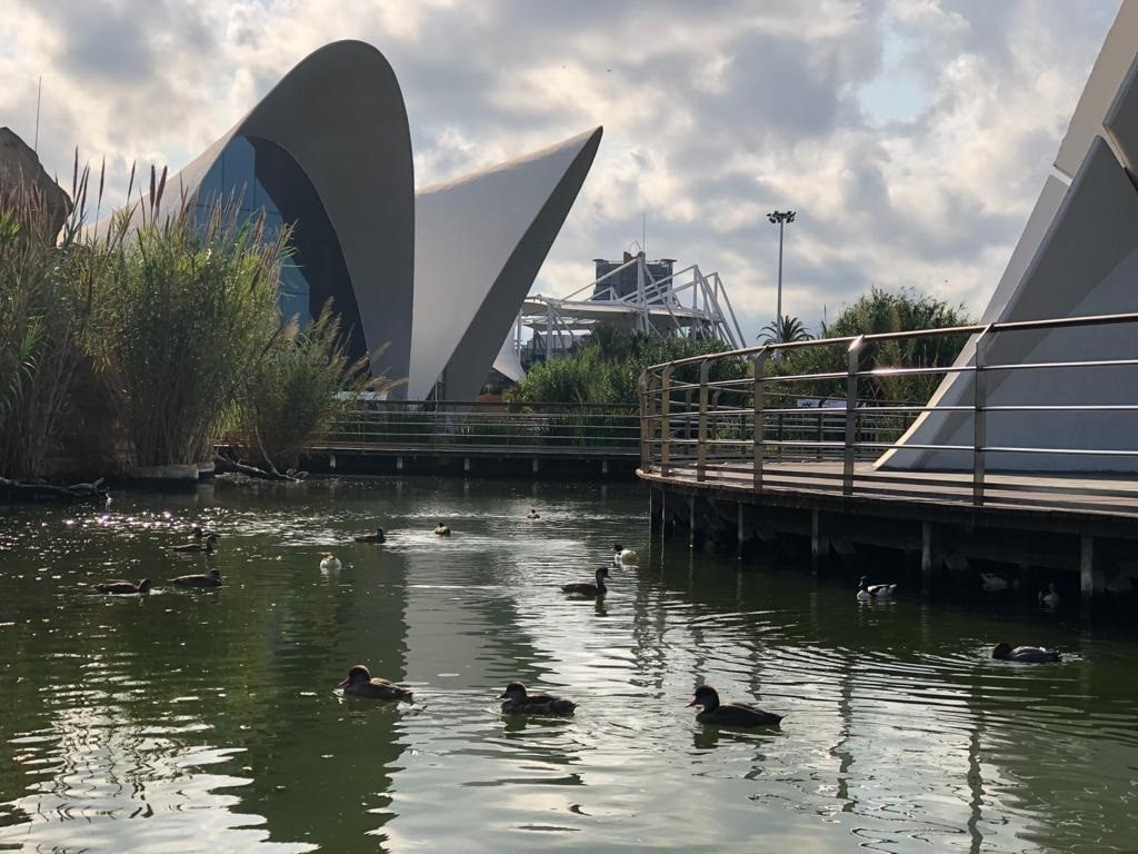 Instal·lacions d'l'Oceanogràfic de València aquest dissabte, després de l'incendi en un quadre elèctric