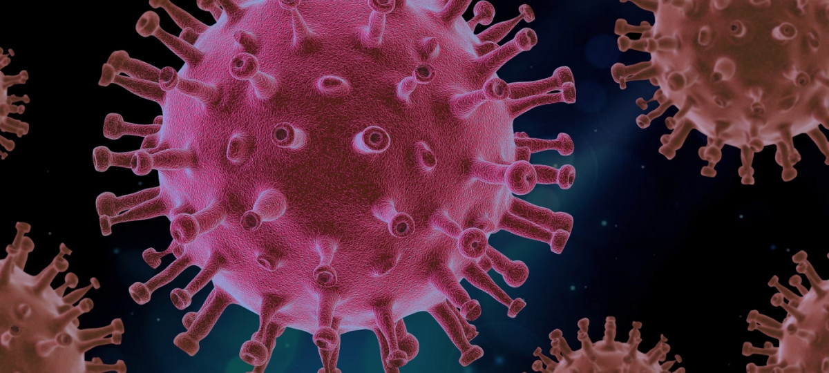 virus