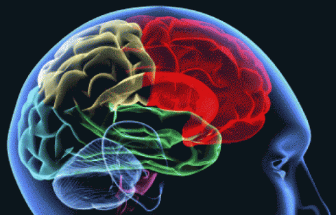 El deteriorament cognitiu afecta entre un 20% i un 35% dels pacients amb esclerosi múltiple