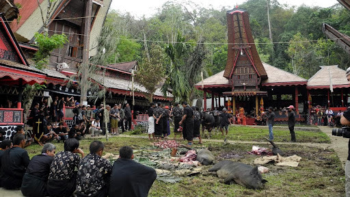 Funeral toraja. Fotografia: J.L. Meneses