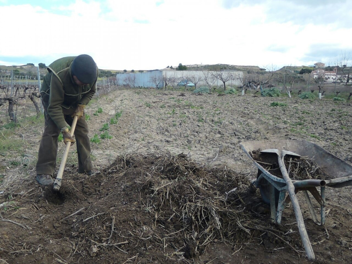 Treballador agrari, treball agrari, cultivar, cultiu, cultivant, cultius, atzar, azarant, treball al camp, treball de camp, cavar, cavant, cavador, ancià, ancians, agricultura, agricultor,