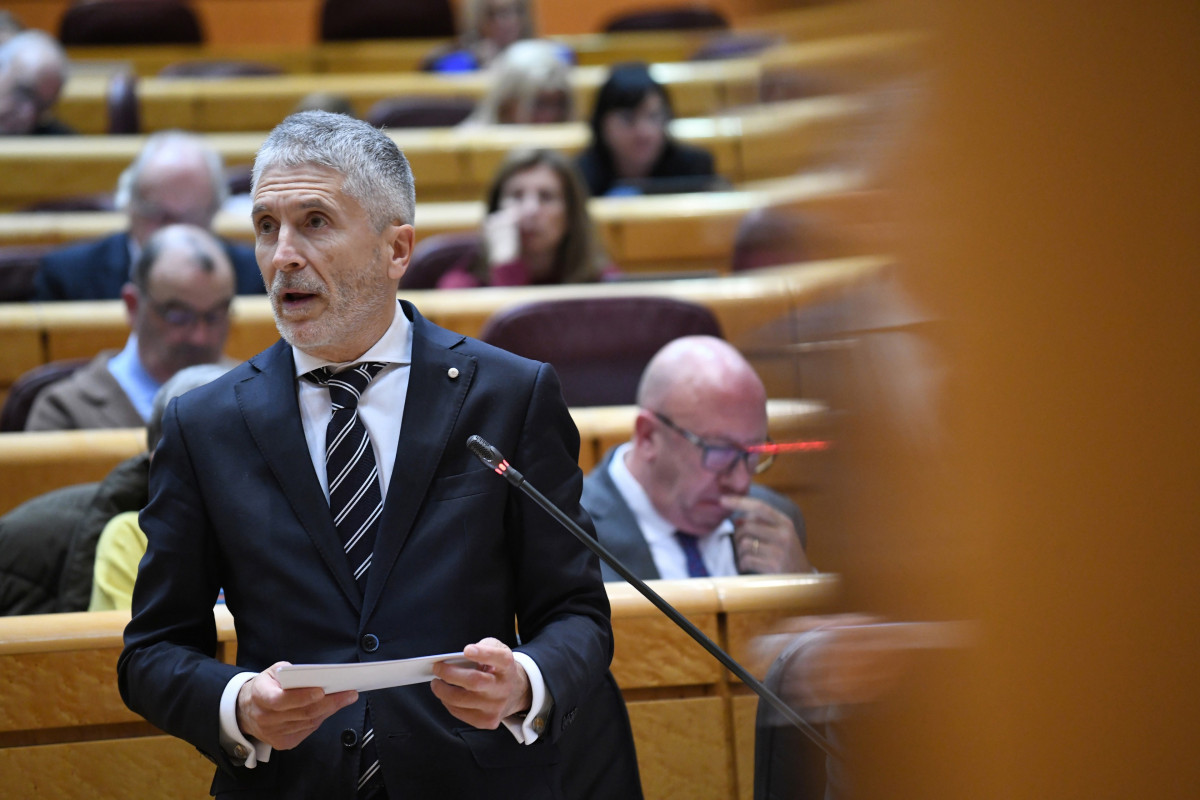 El ministre d'Interior, Fernando Grande-Marlaska, intervé durant un ple al Senat