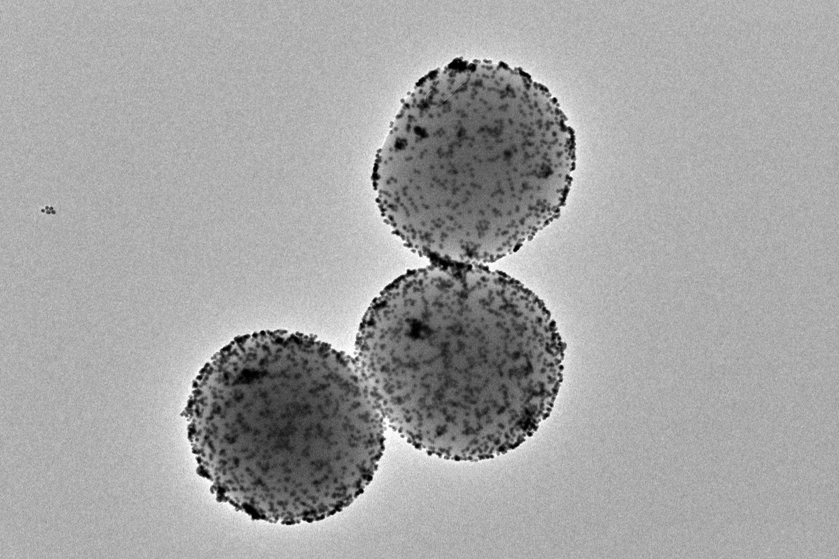 Imatge de microscòpia electrònica de transmissió dels nanorrobots