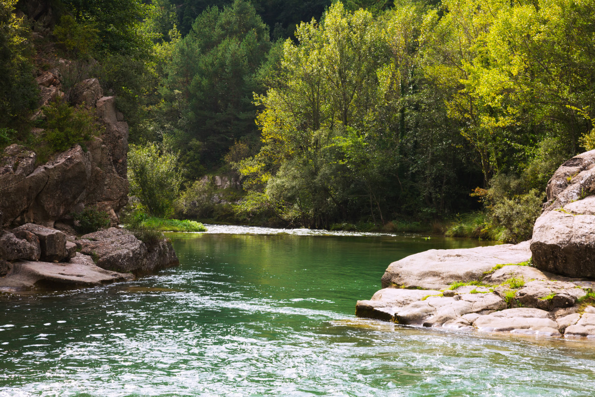 Riu montanes riba rocosa pirineus