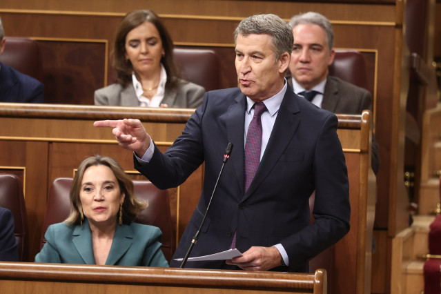 El presidente del PP, Alberto Núñez Feijóo, interviene durante una sesión de control, Congreso de los Diputados, a 12 de febrero de 2025, en Madrid (España).