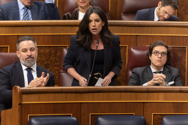 Archivo - La portavoz de VOX en el Congreso, Pepa Millán, interviene durante una sesión de control, Congreso de los Diputados, a 12 de febrero de 2025, en Madrid (España).