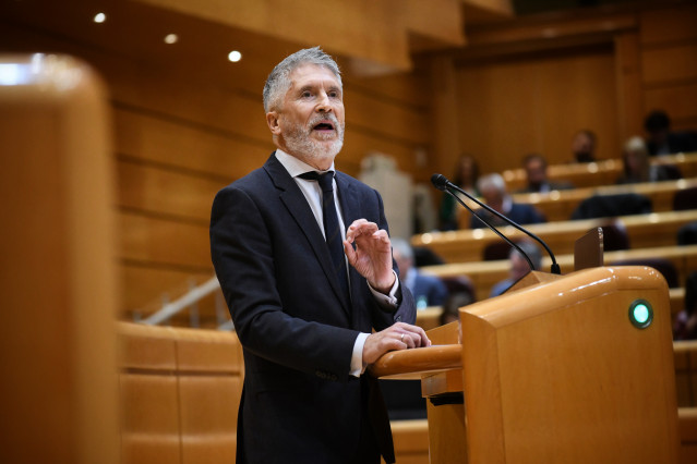 El ministro del Interior, Fernando Grande-Marlaska, durante una sesión de control al Gobierno, en el Senado