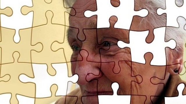 Alzheimerpuzzle 1