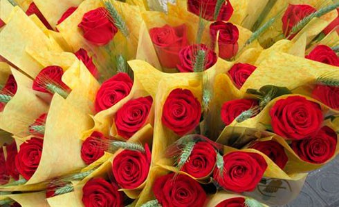 Roses de Sant Jordi