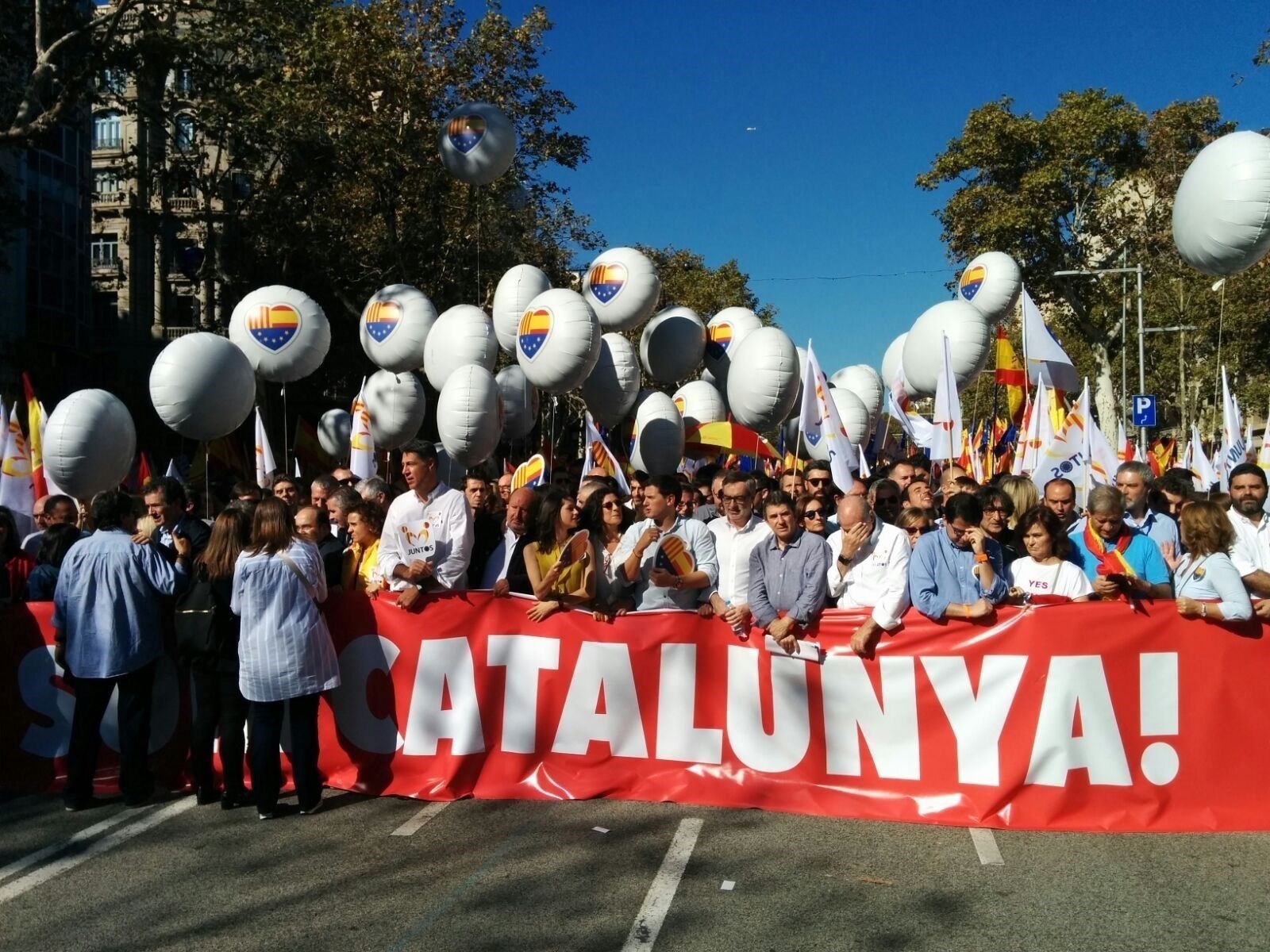 Capçalera manifestació scc