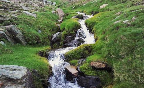 Científics analitzen el rol de les plantes i microorganismes en la depuració dels rius